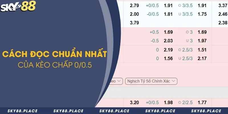 Kèo 0/0.5 là gì? Cách đọc và tính tiền cược trong kèo 0/0.5 2 Cách đọc kèo bóng đá theo tỷ lệ kèo 0.25