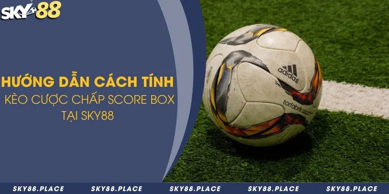 Kèo chấp score box là gì? Bí quyết cược để ăn thưởng đến 99% 3 Hướng dẫn cách tính kèo cược chấp score Box tại Sky88