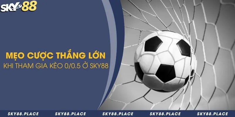 Kèo 0/0.5 là gì? Cách đọc và tính tiền cược trong kèo 0/0.5 3 Mẹo cược thắng lớn khi tham gia kèo 0/0.5 ở Sky88