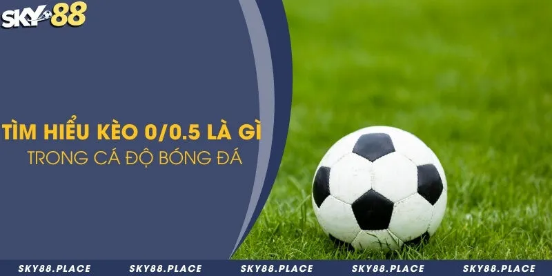 Kèo 0/0.5 là gì? Cách đọc và tính tiền cược trong kèo 0/0.5 1 Tìm hiểu kèo 0/0.5 là gì trong cá độ bóng đá